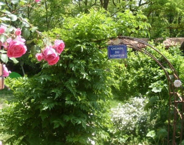 La Chambre D'Hote Au Gre Du Temps Montlaur  Εξωτερικό φωτογραφία